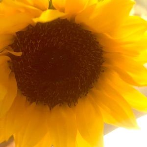 All offers welcomed!! No price is firm!